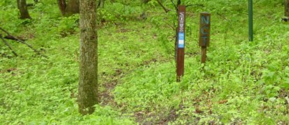 North Country Trail in Ohio in May