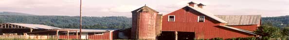 Sustainable Agriculture in King County, Washington