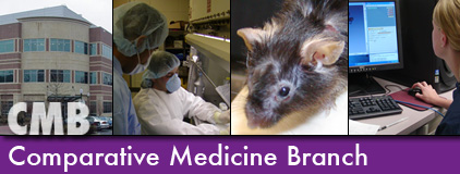 Comparative Medicine Branch banner