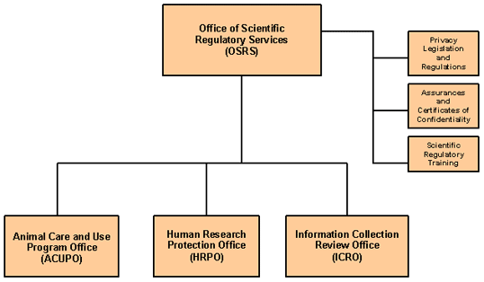 OCSO / OSRS Organizational Structure diagram