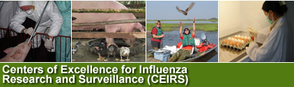 Centers of Excellence for Influenza Research and Surveillance