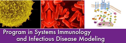 Program in Systems Immunology and Infectious Disease Modeling photos and headline banner
