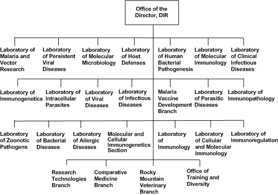 DIR Organizational Chart