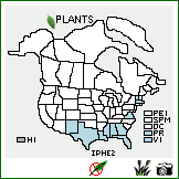 Distribution of Ipomoea hederifolia L.. . Image Available. 