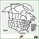 Distribution of Ipomoea ochracea (Lindl.) G. Don. . Image Available. 