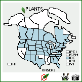 Distribution of Calystegia sepium (L.) R. Br. ssp. angulata Brummitt. . Image Available. 