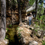 Montezuma Well: A Living Oasis
