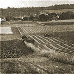 Agriculture at Ebey's Landing