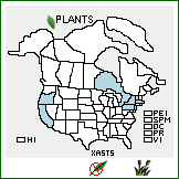 Distribution of Xanthium strumarium L. var. strumarium. . 