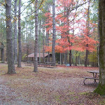 Autumn Colors at the Picnic Area