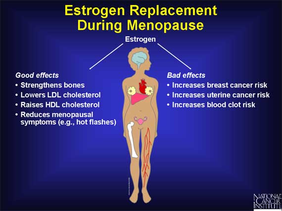 Estrogen Replacement During Menopause