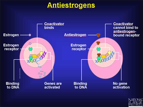 Antiestrogens