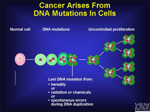 Cancer Arises From DNA Mutations In Cells