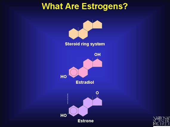 What Are Estrogens?