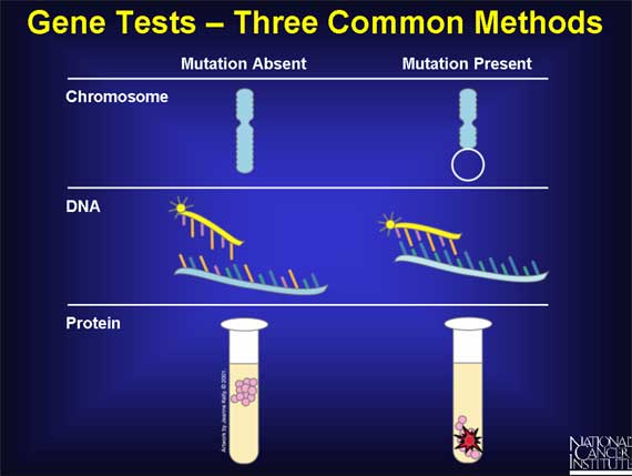 Gene Tests - Three Common Methods