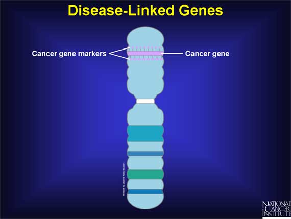 Disease-Linked Genes