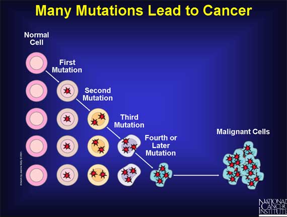 Many Mutations Lead to Cancer