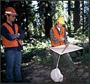 [photograph]: Field crew prepares a location plot.