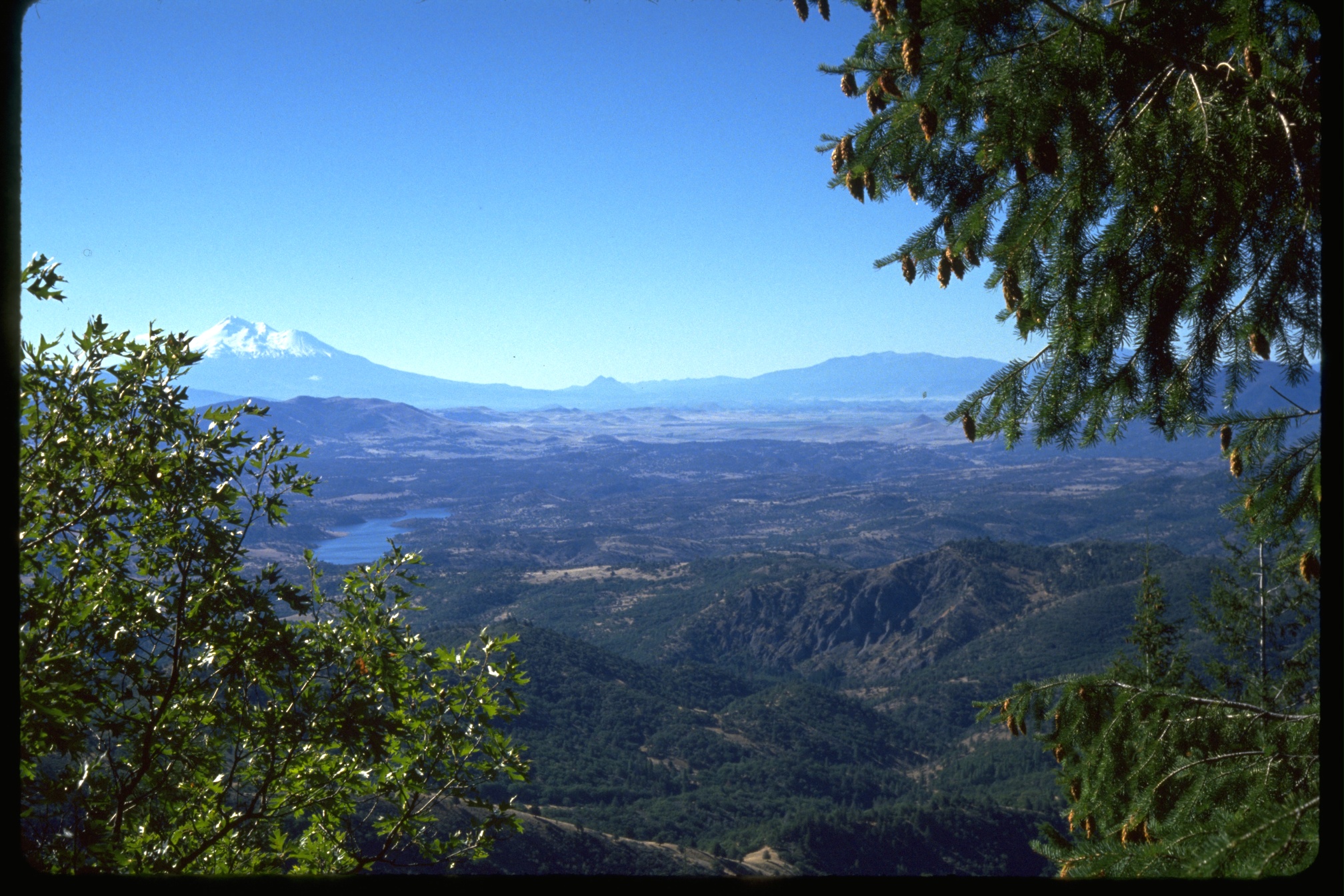 Woodrat Mountain