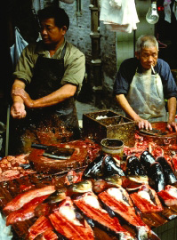 China fish market