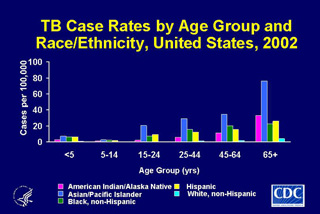 Slide 10: TB Case Rates by Age Group and Race/Ethnicity, United States, 2002. Click here for larger image