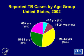 Slide 6: Reported TB Cases by Age Group, United States, 2002. Click here for larger image
