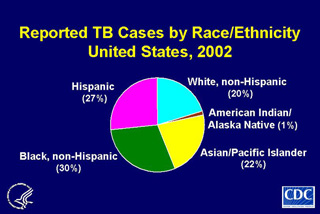 Slide 9: Reported TB Cases by Race/Ethnicity, United States, 2002. Click here for larger image