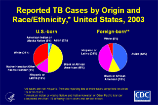 Slide 13: Reported TB Cases by Origin and Race/Ethnicity, United States, 2003. Click here for larger image