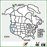 Distribution of Vitis californica Benth.. . Image Available. 