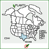 Distribution of Vitis ×champinii Planch. (pro sp.) [mustangensis × rupestris]. . 