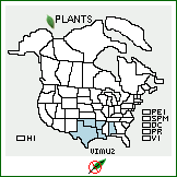 Distribution of Vitis mustangensis Buckley. . 