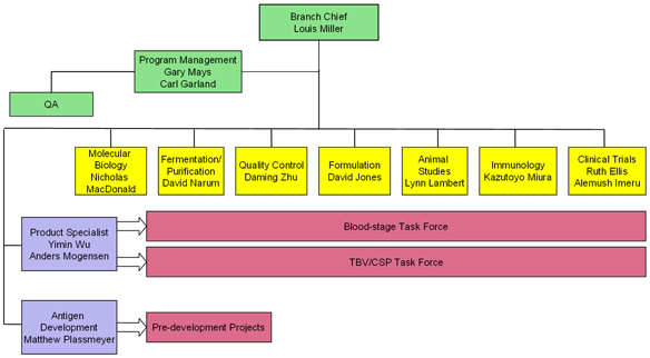 MVDB Organizational Chart