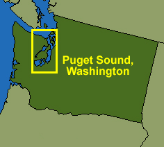 [Puget Sound, Washington site location map]