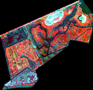 Hyperspectral image of the study area.