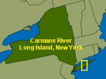 [Carmans River, Long Island, New York location map]