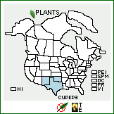 Distribution of Cuscuta pentagona Engelm. var. pubescens (Engelm.) Yunck.. . 