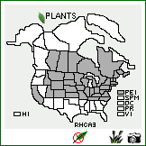 Distribution of Rhamnus cathartica L.. . Image Available. 