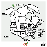 Distribution of Rhamnus davurica Pall.. . Image Available. 