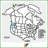 Distribution of Cirsium brevifolium Nutt.. . 