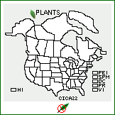 Distribution of Cirsium ×canalense Petr. [excluded]. . 