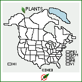 Distribution of Cirsium helenioides (L.) Hill. . 