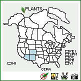 Distribution of Cirsium parryi (A. Gray) Petr.. . Image Available. 