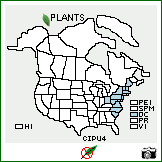 Distribution of Cirsium pumilum Spreng.. . Image Available. 