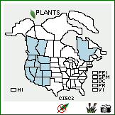 Distribution of Cirsium scariosum Nutt.. . Image Available. 