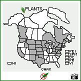 Distribution of Carduus acanthoides L.. . Image Available. 