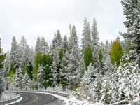 Lassen National Forest Fall Image 2007 - Photo Credit: Jason Flaherty