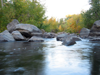 Fall Color near the Bizz Johnson Trail in Susanville. Photo: Jason Flaherty