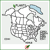 Distribution of Hieracium alpinum L.. . 