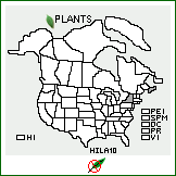 Distribution of Hieracium lactucella Wallr.. . 