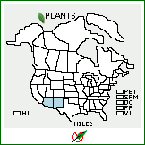 Distribution of Hieracium lemmonii A. Gray. . 
